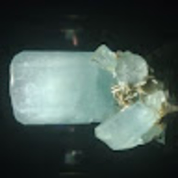 Meet your Posher, Brooke - Picture 1 of 1